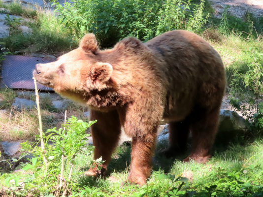 Zoo