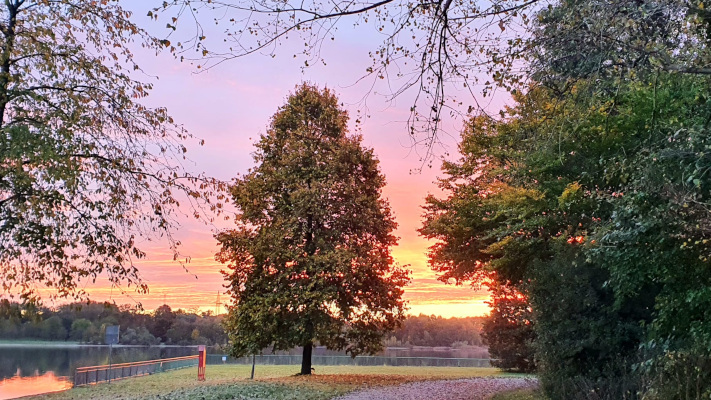 Herbst