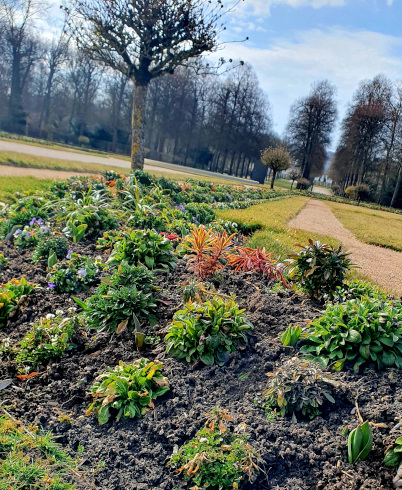 Hofgarten