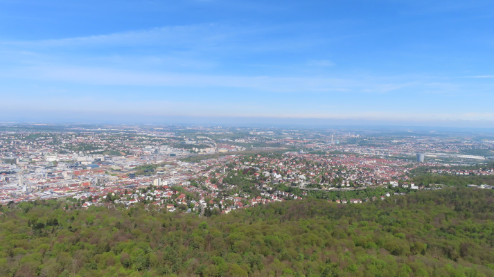view