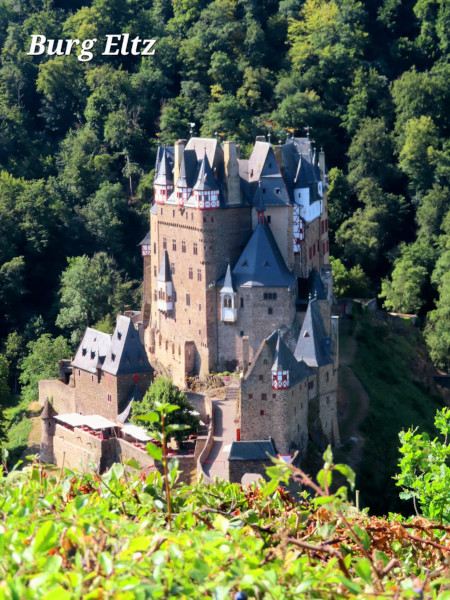 Burg