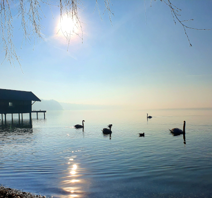 Ammersee