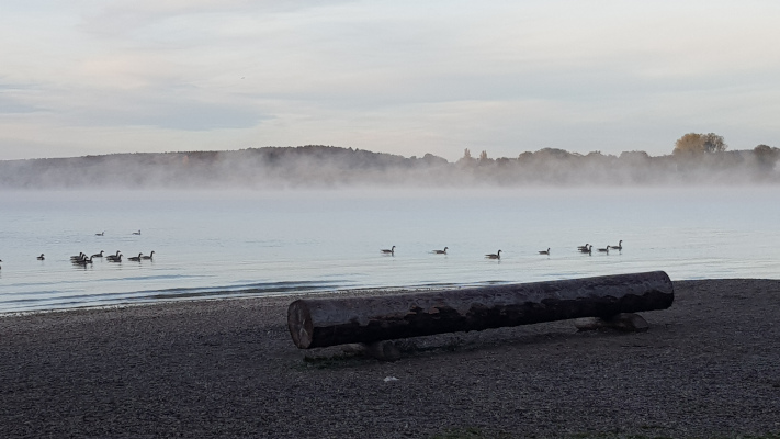 Ammersee