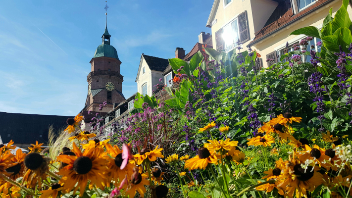 Freudenstadt